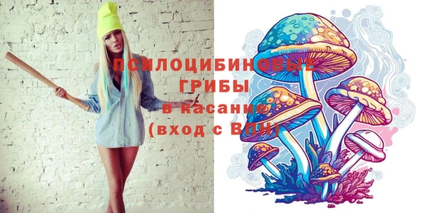 Альфа ПВП Аркадак