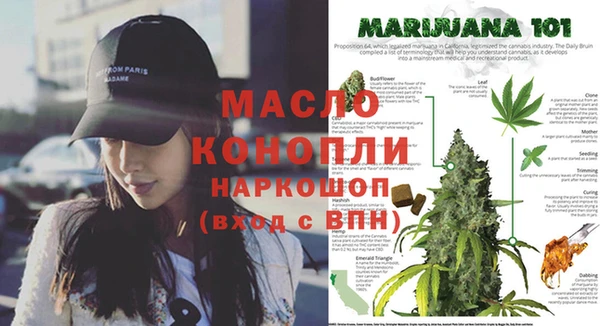 трава Арсеньев