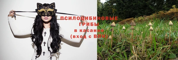 Альфа ПВП Аркадак