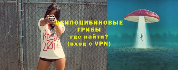 Альфа ПВП Аркадак