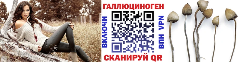 Галлюциногенные грибы Psilocybe  МЕГА ссылки  Болхов 
